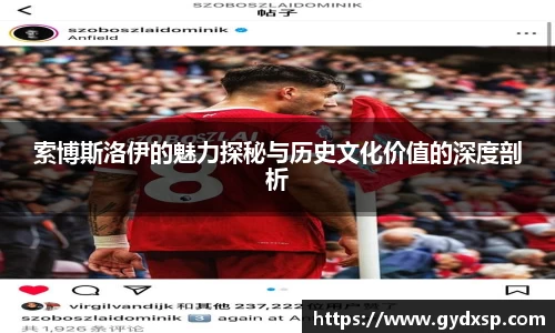 索博斯洛伊的魅力探秘与历史文化价值的深度剖析